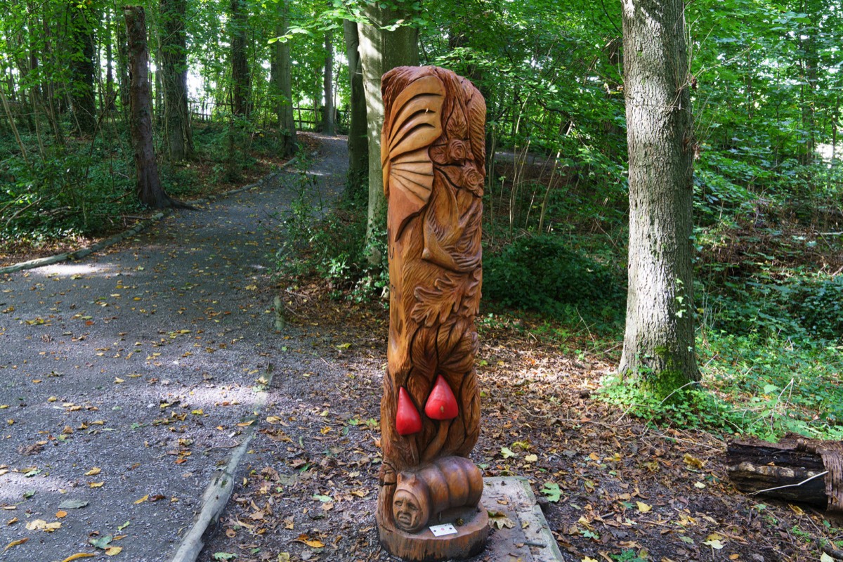 WOOD CARVINGS - STORMONT NATURE TRAIL 005