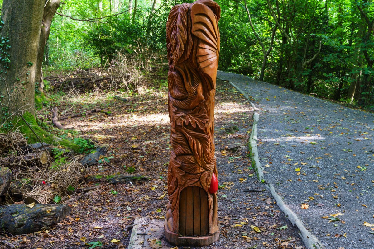 WOOD CARVINGS - STORMONT NATURE TRAIL 006