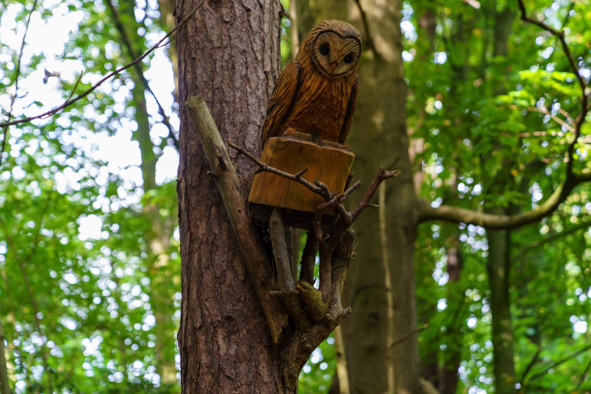 WOOD CARVINGS - STORMONT NATURE TRAIL 009