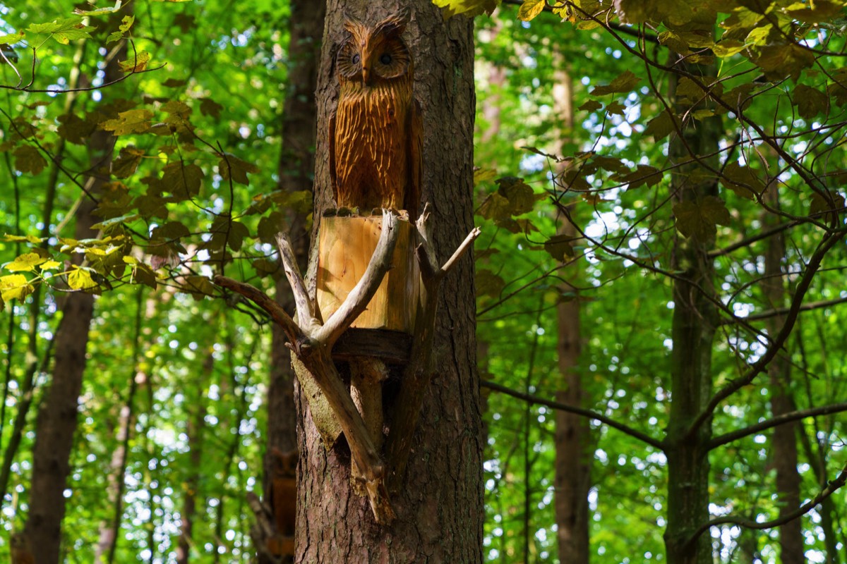 WOOD CARVINGS - STORMONT NATURE TRAIL 010