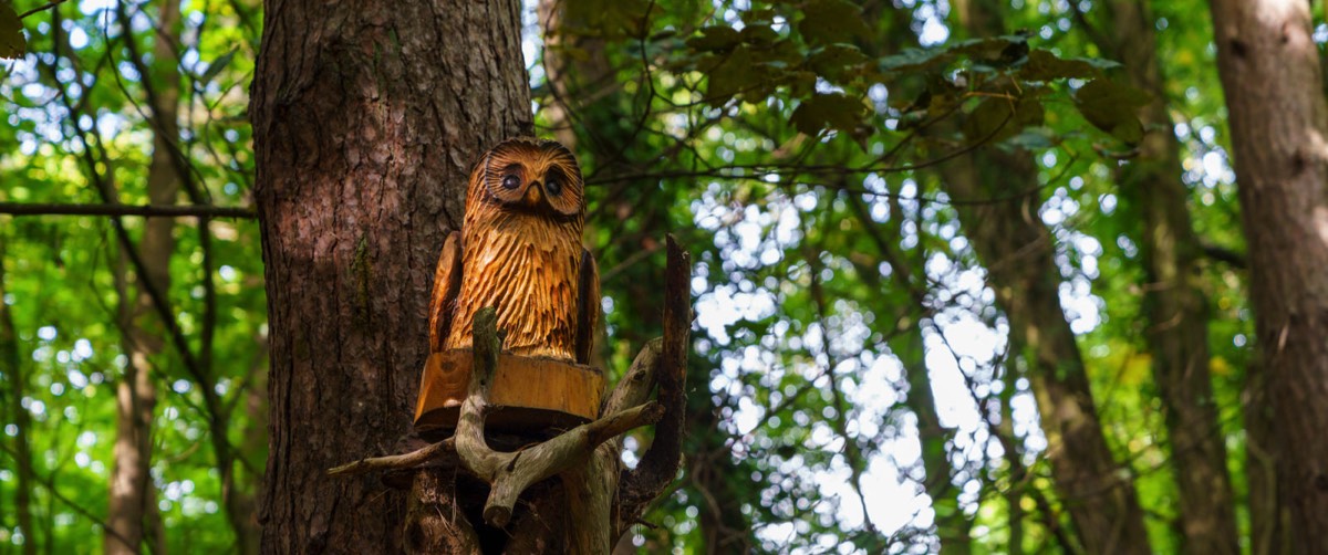WOOD CARVINGS - STORMONT NATURE TRAIL 011