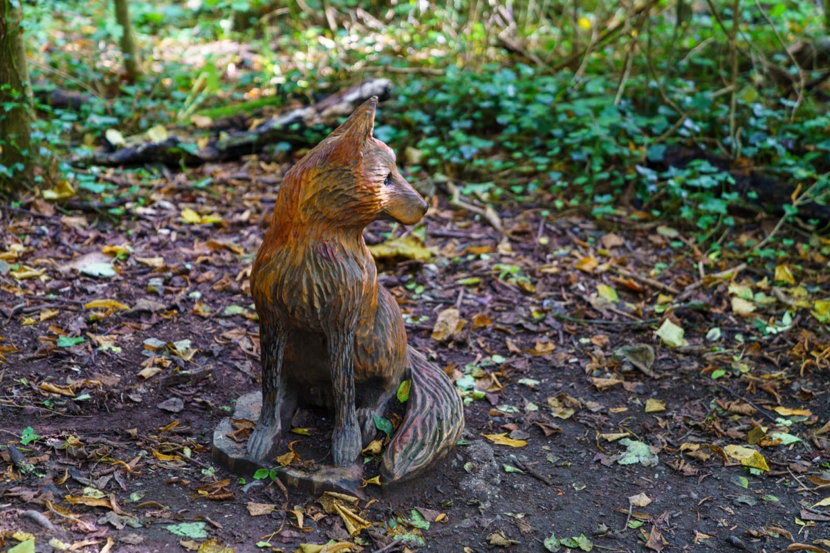 WOOD CARVINGS - STORMONT NATURE TRAIL 013