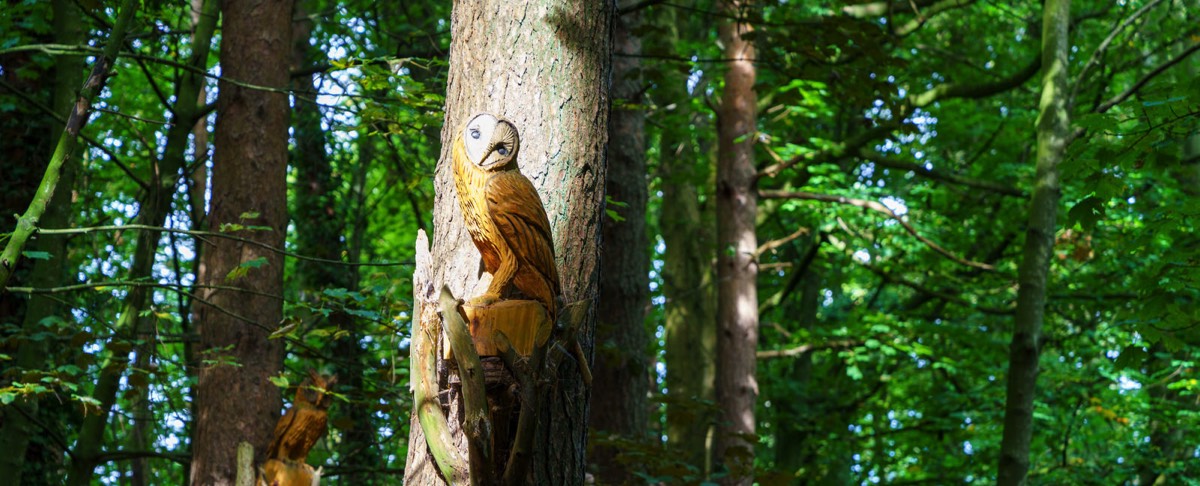 WOOD CARVINGS - STORMONT NATURE TRAIL 014