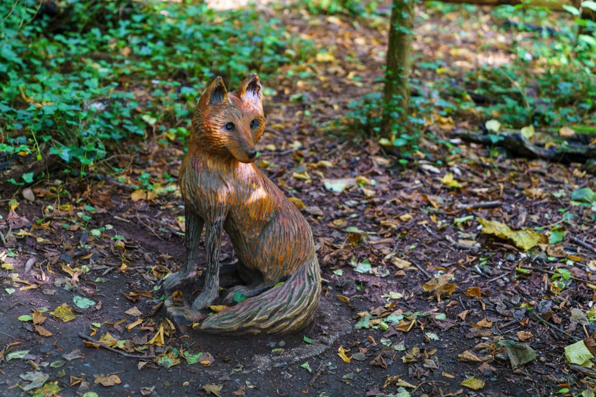 WOOD CARVINGS - STORMONT NATURE TRAIL 015