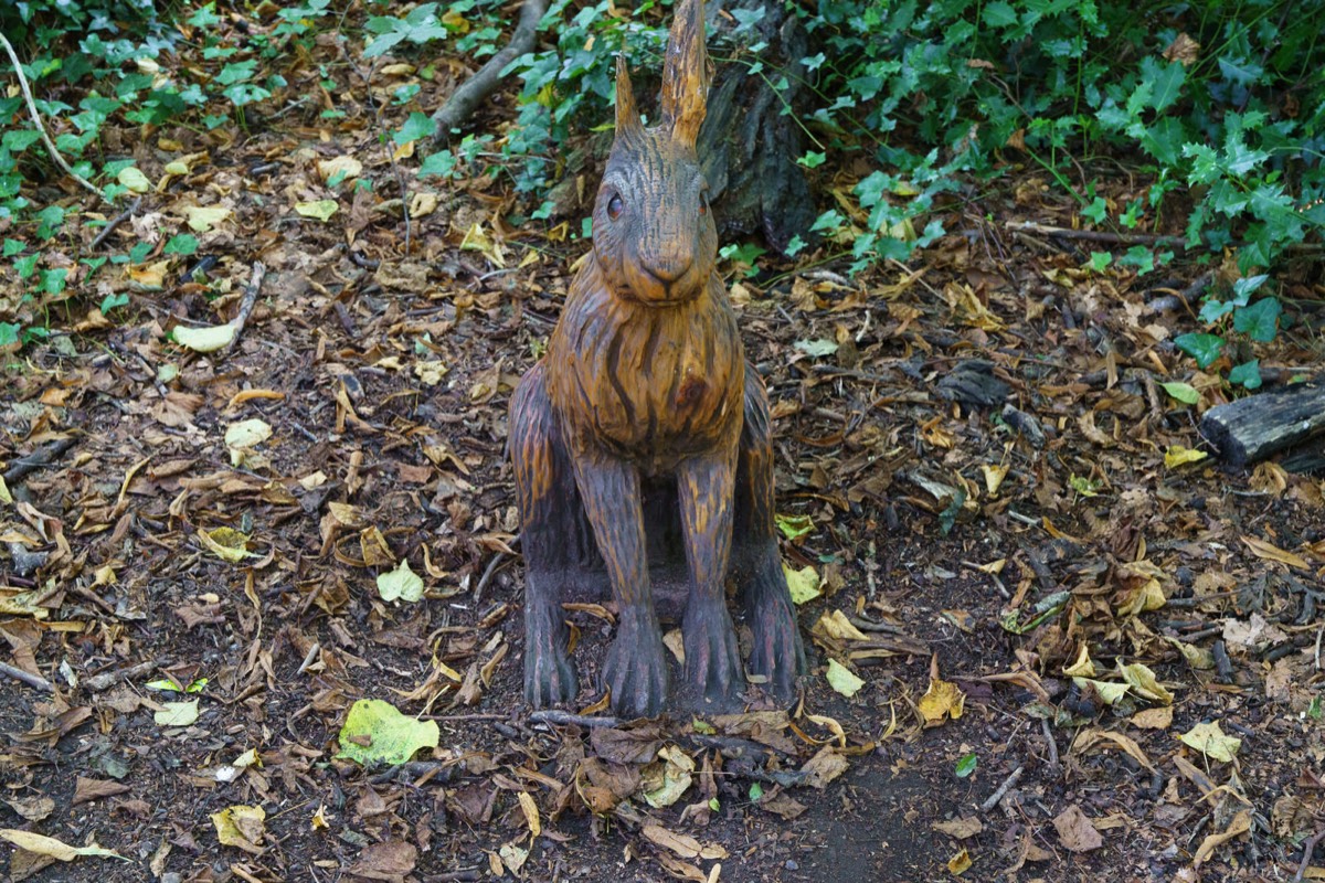 WOOD CARVINGS - STORMONT NATURE TRAIL 016