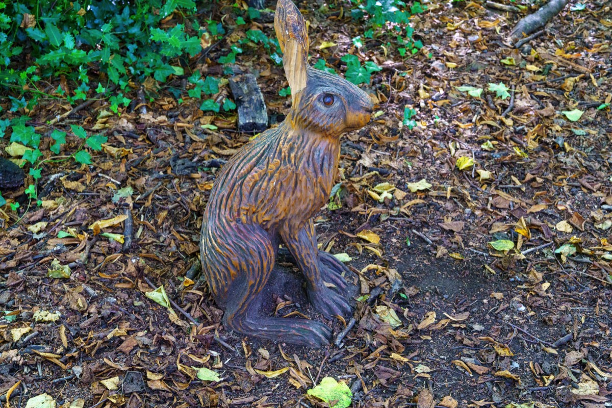 WOOD CARVINGS - STORMONT NATURE TRAIL 017