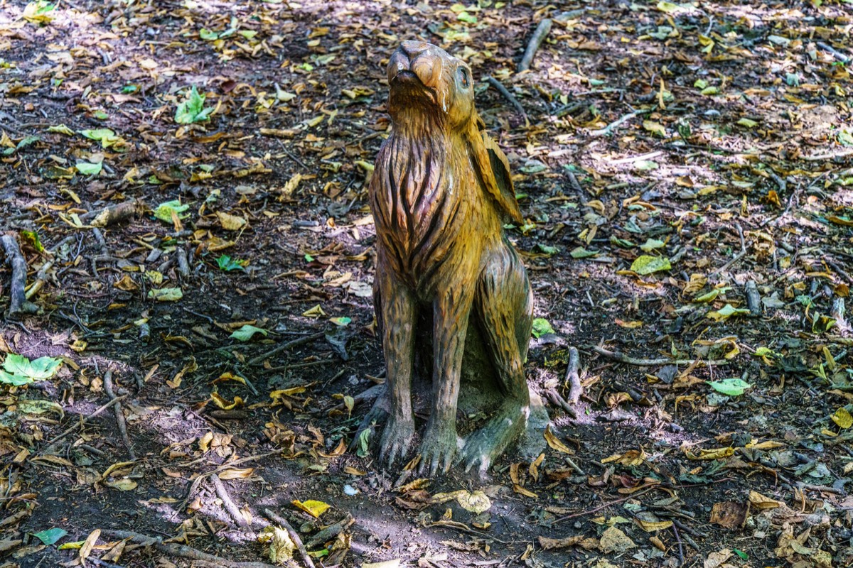WOOD CARVINGS - STORMONT NATURE TRAIL 018