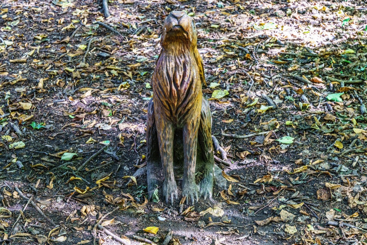 WOOD CARVINGS - STORMONT NATURE TRAIL 019