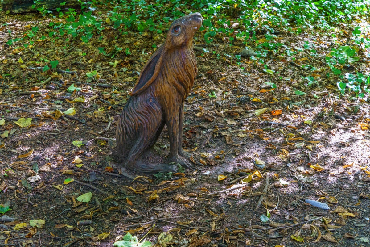 WOOD CARVINGS - STORMONT NATURE TRAIL 020