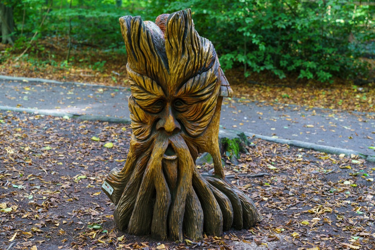 WOOD CARVINGS - STORMONT NATURE TRAIL 021