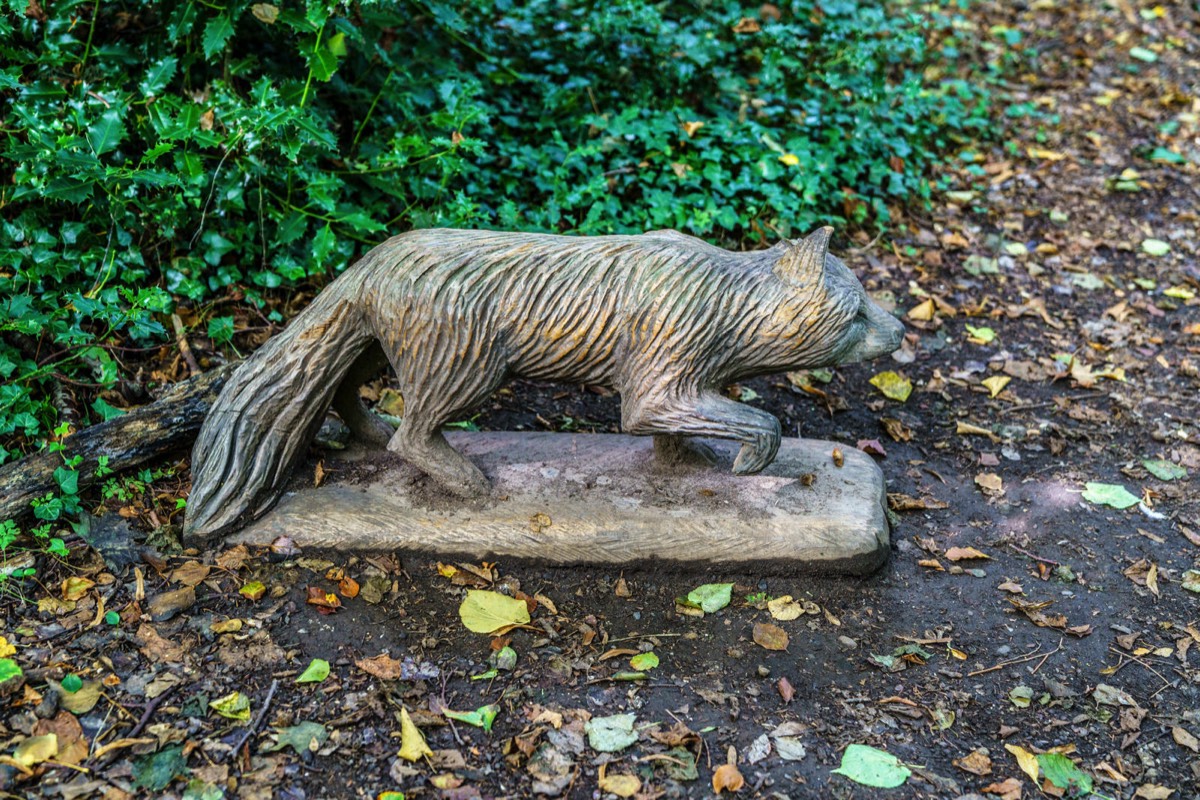 WOOD CARVINGS - STORMONT NATURE TRAIL 022