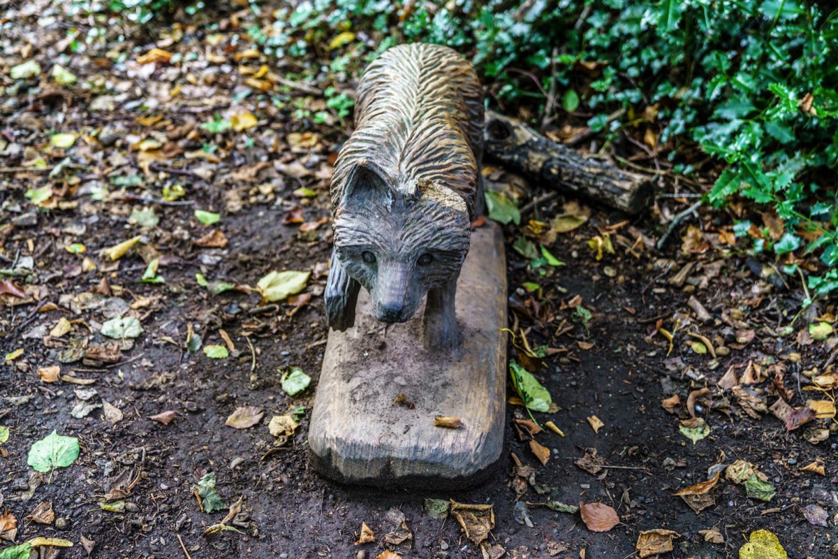 WOOD CARVINGS - STORMONT NATURE TRAIL 023