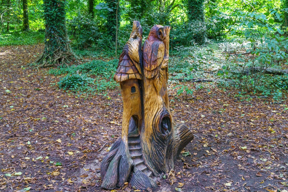 WOOD CARVINGS - STORMONT NATURE TRAIL 024