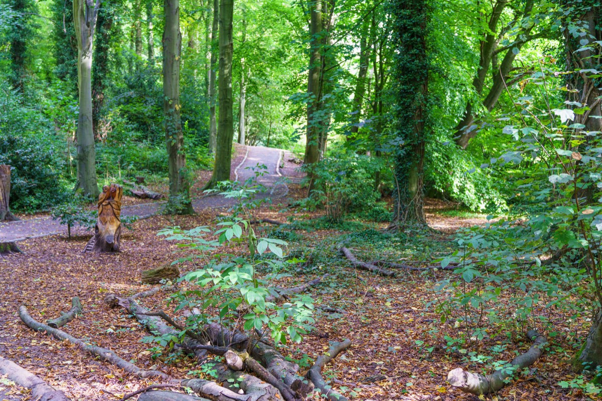 WOOD CARVINGS - STORMONT NATURE TRAIL 026