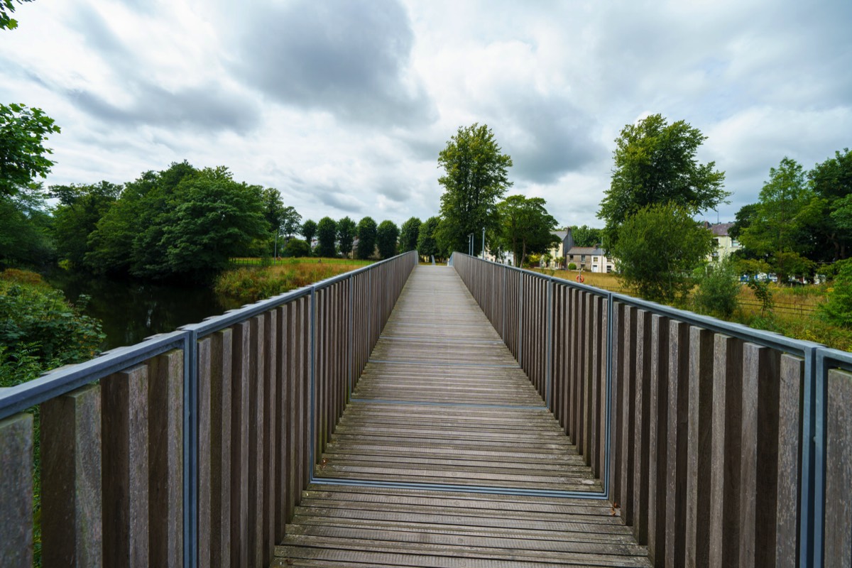 UCC WILDFLOWER MEADOW AND THE CAVANAGH PEDESTRIAN BRIDGE  001