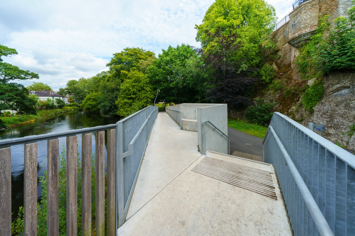 UCC WILDFLOWER MEADOW AND THE CAVANAGH PEDESTRIAN BRIDGE  002