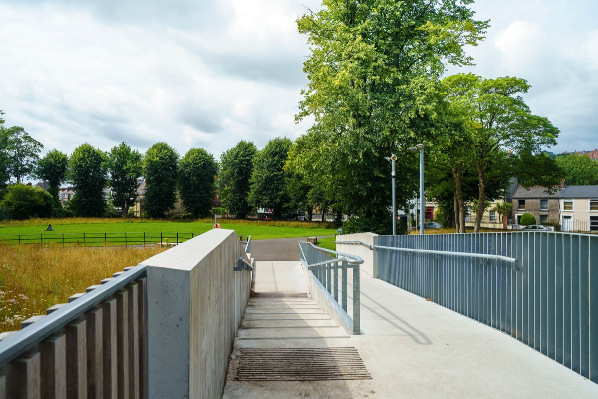 UCC WILDFLOWER MEADOW AND THE CAVANAGH PEDESTRIAN BRIDGE  004