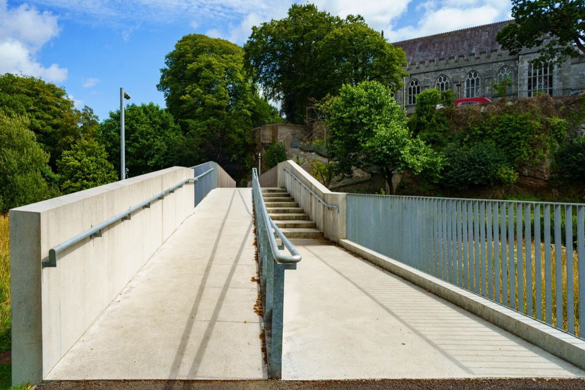 UCC WILDFLOWER MEADOW AND THE CAVANAGH PEDESTRIAN BRIDGE  005