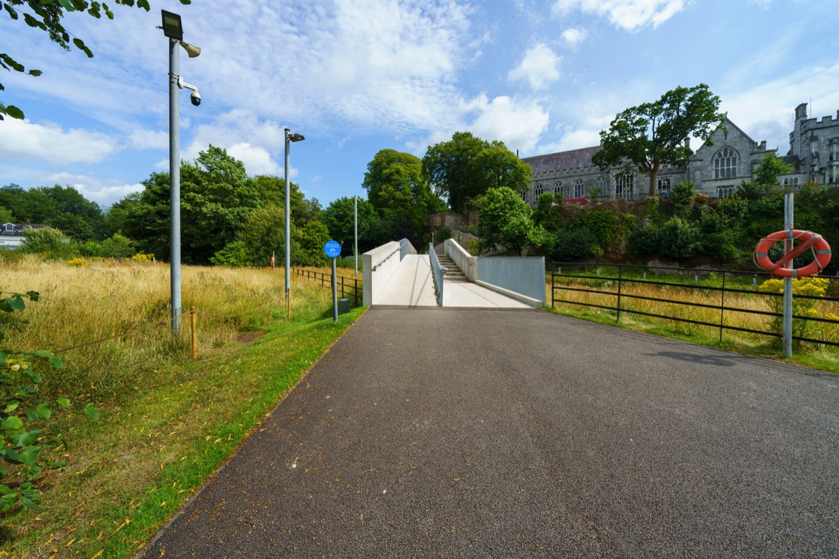 UCC WILDFLOWER MEADOW AND THE CAVANAGH PEDESTRIAN BRIDGE  007