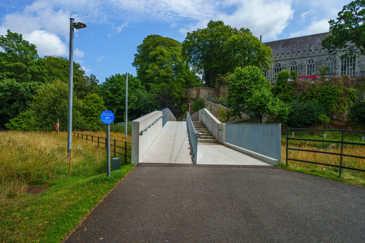 UCC WILDFLOWER MEADOW AND THE CAVANAGH PEDESTRIAN BRIDGE  008