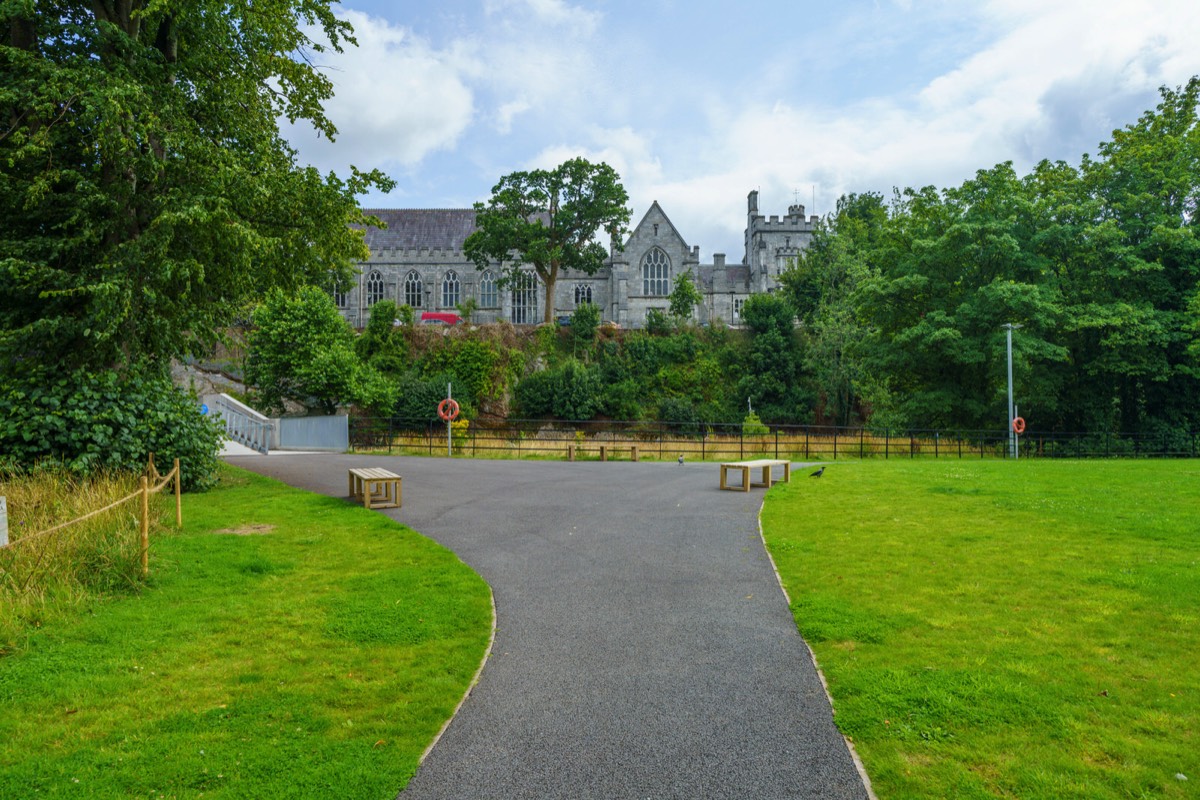 UCC WILDFLOWER MEADOW AND THE CAVANAGH PEDESTRIAN BRIDGE  010