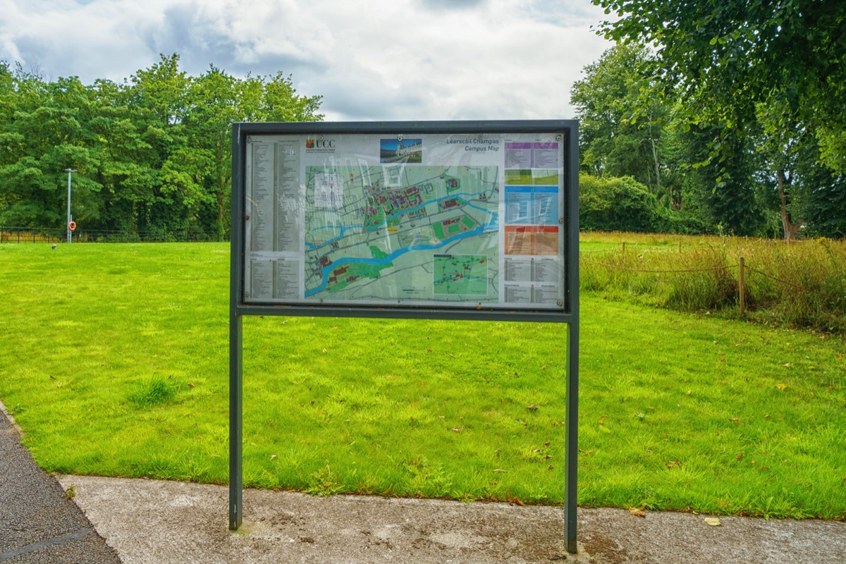 UCC WILDFLOWER MEADOW AND THE CAVANAGH PEDESTRIAN BRIDGE  011