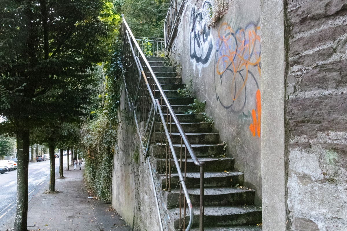 WELLINGTON ROAD IN CORK - I USED A SIGMA DP1 QUATTRO  011