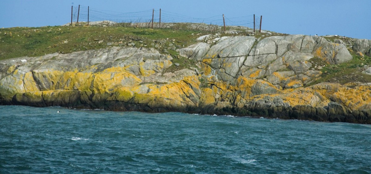 DALKEY ISLAND AND THE MUGLINS PHOTOGRAPHED APRIL 2007 021