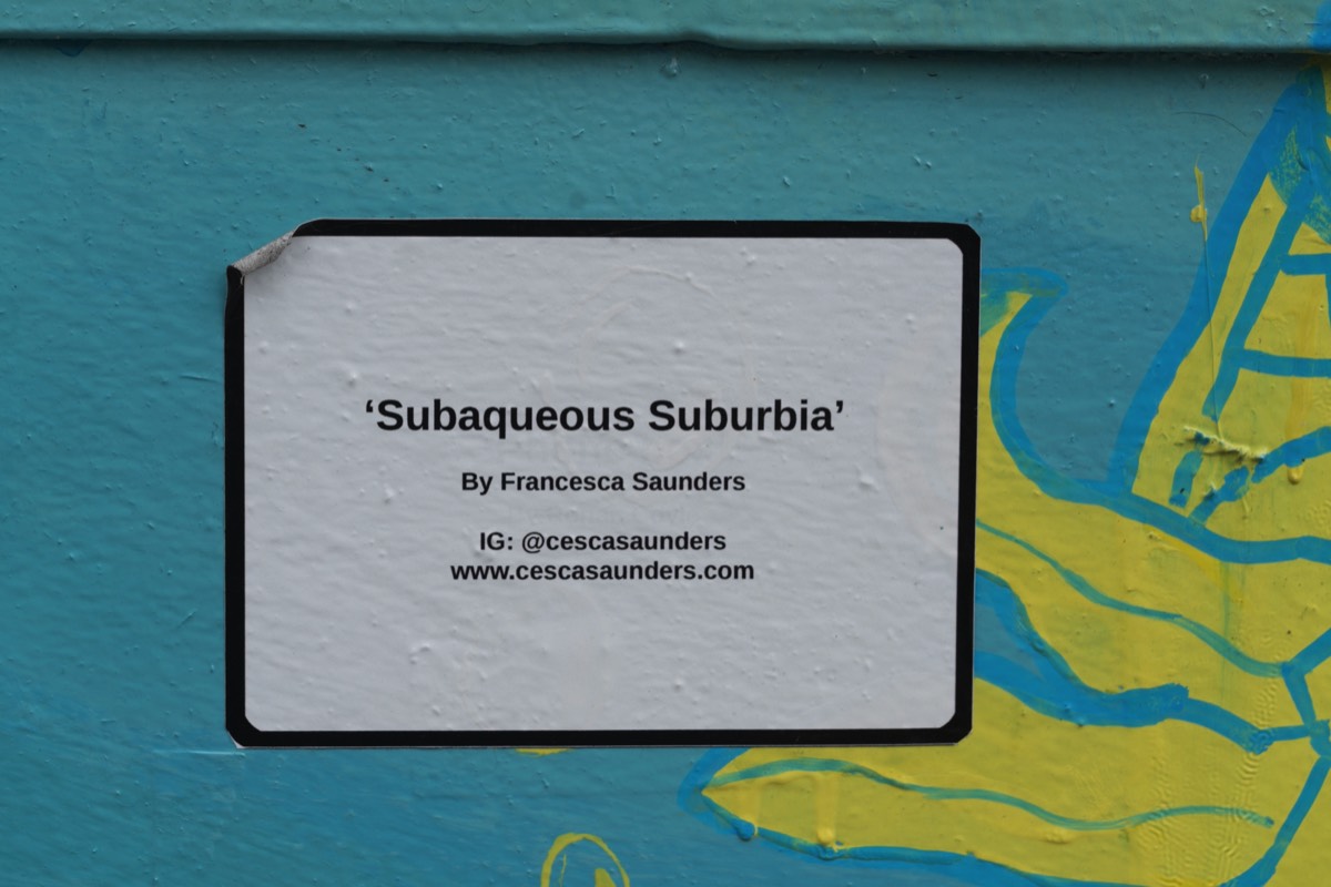 SUBAQUEOUS SUBURBIA BY FRANCESCA SAUNDERS  003