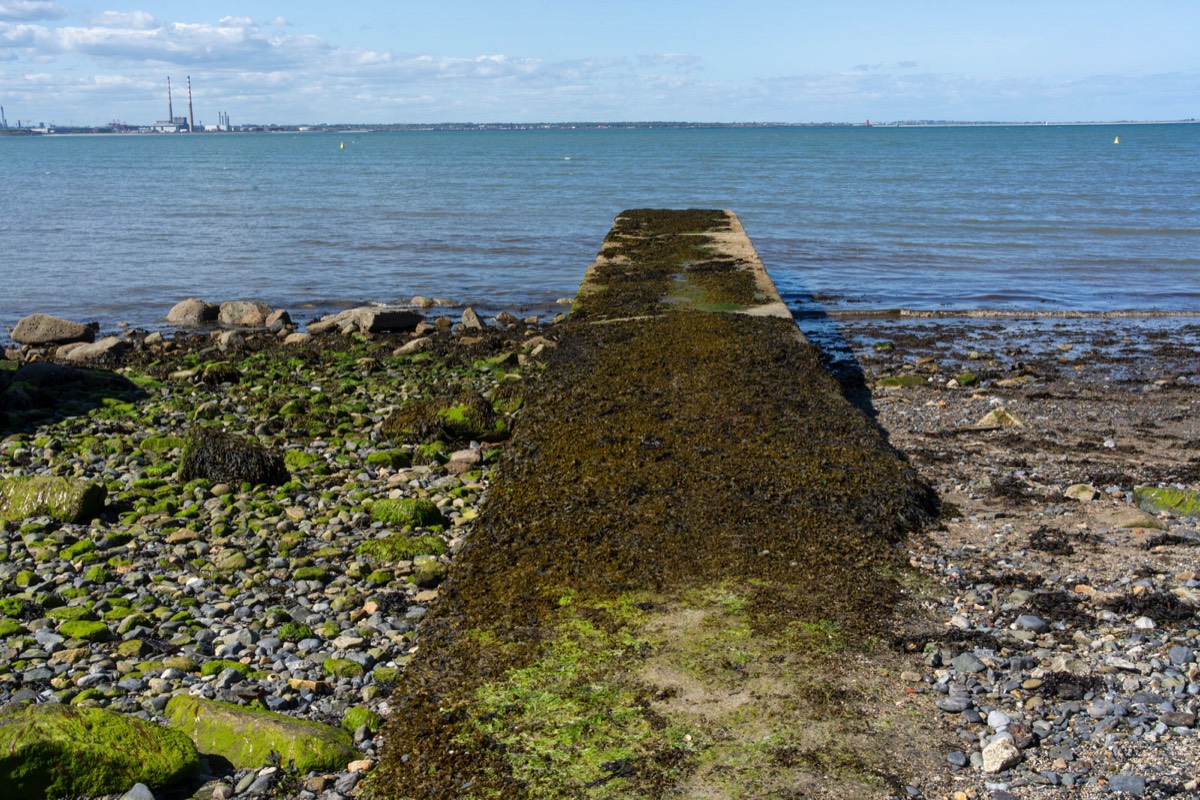 MONKSTOWN AND SALTHILL  - DUN LAOGHAIRE COUNTY DUBLIN  010