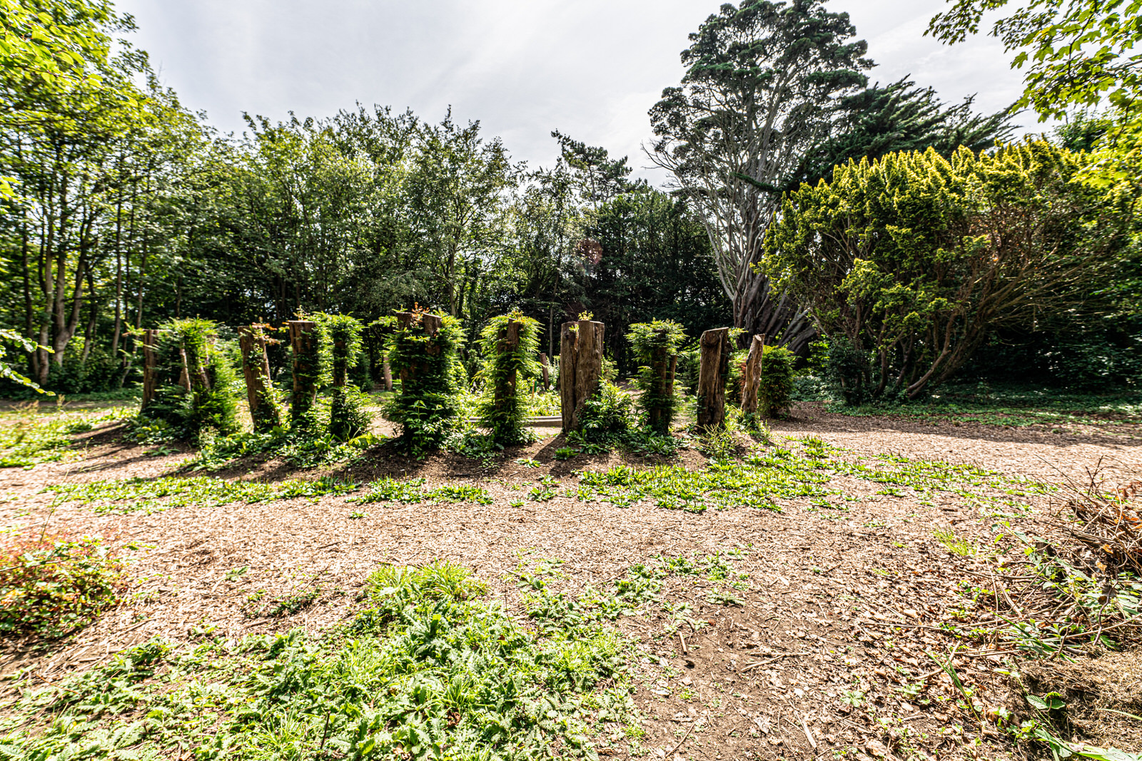  THE YEW CIRCLE 