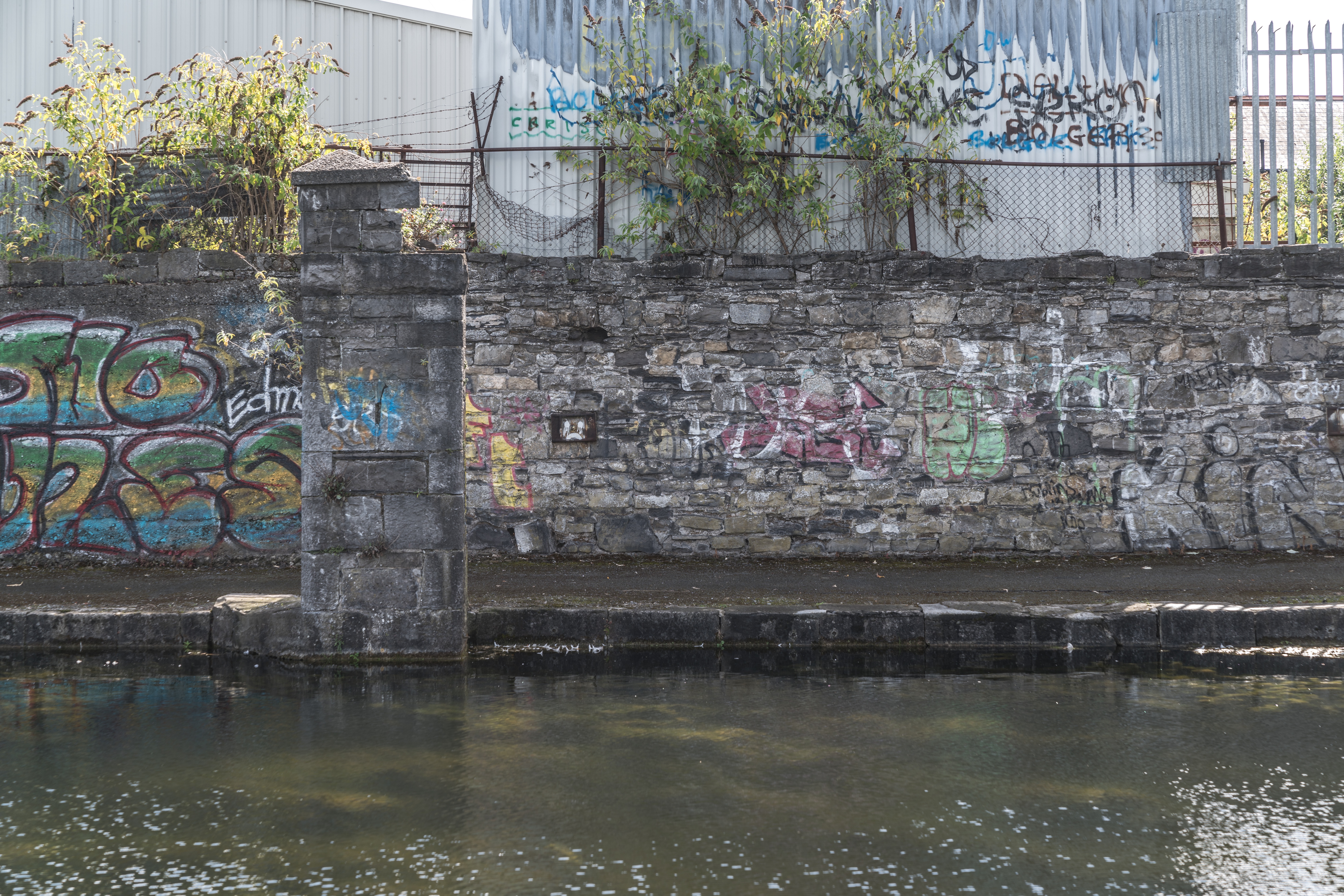  ROYAL CANAL - CABRA AREA 010 