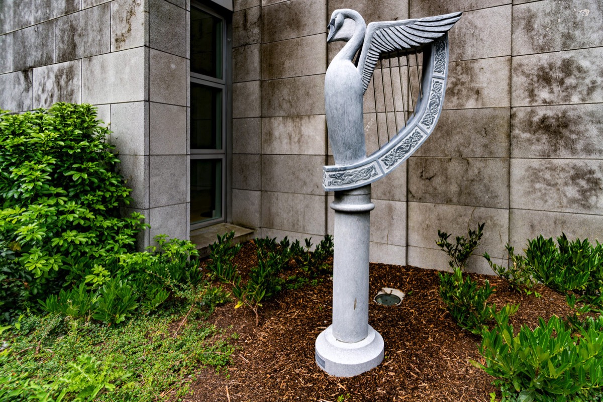 A symbol of rebirth and resurrection and within the wings of the swan is the harp, the official state emblem of Ireland