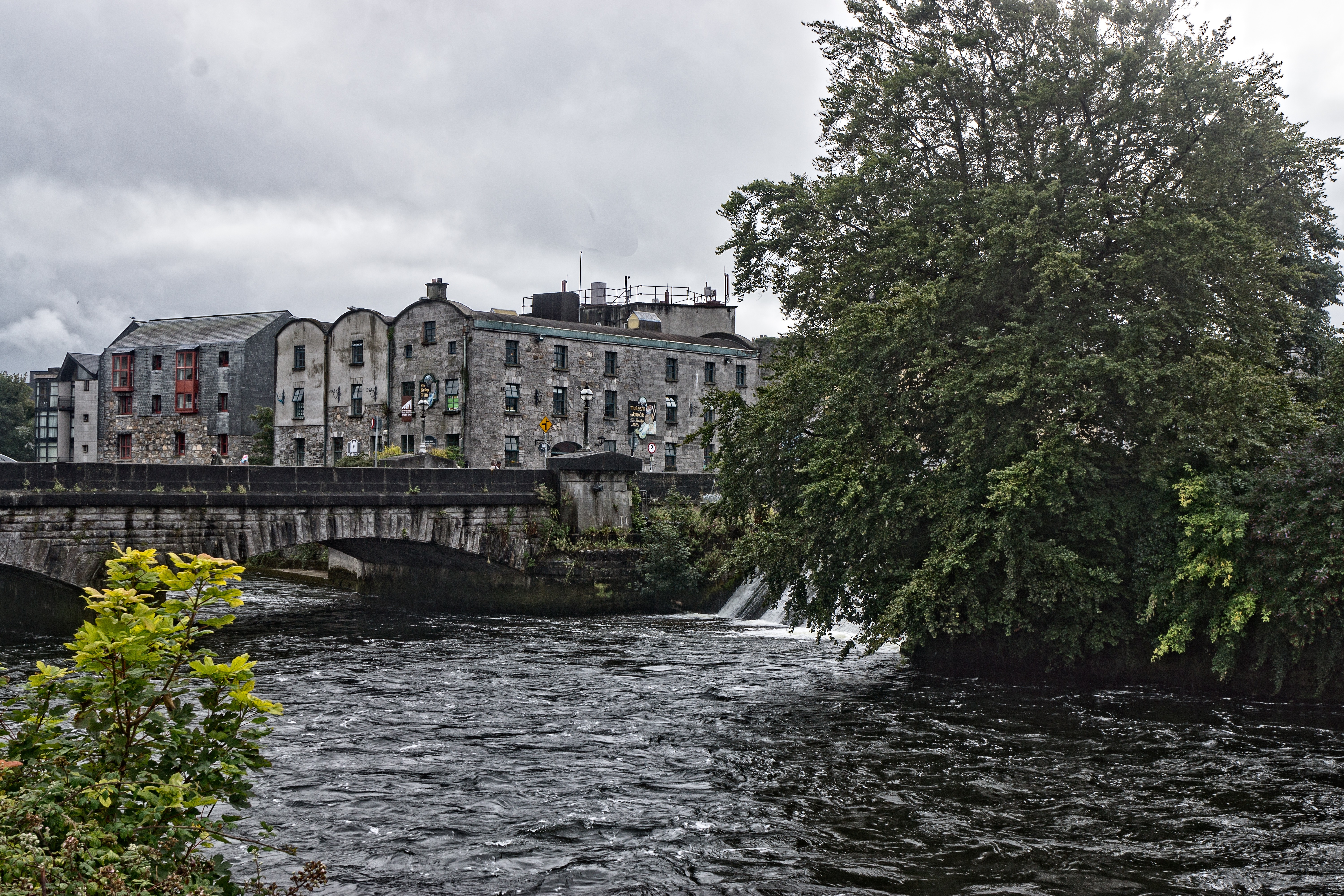  THE WATERWAYS OF GALWAY 010 