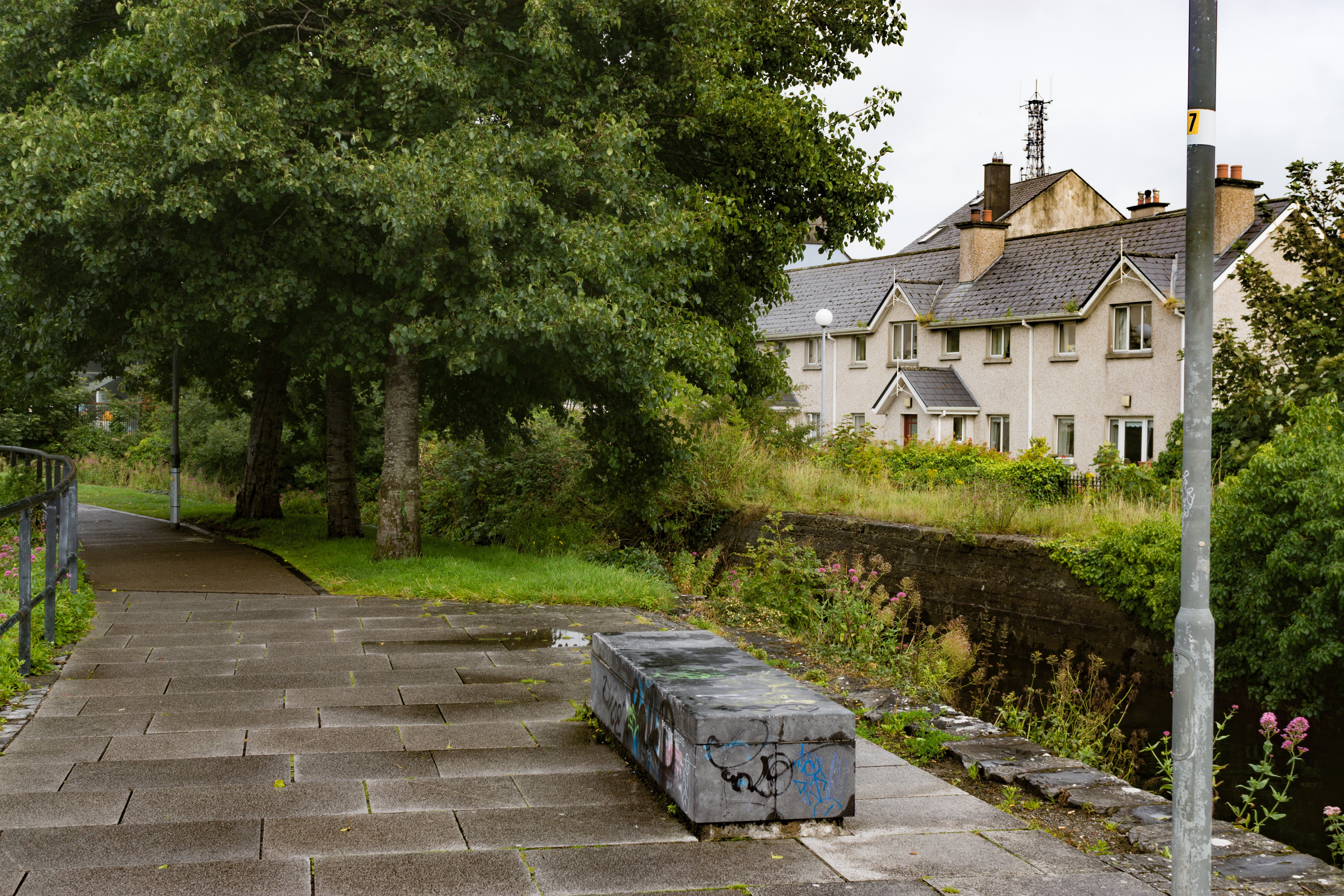  THE WATERWAYS OF GALWAY 014 