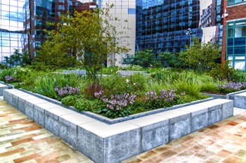  EARLSFORT TERRACE PLAZA - THE SCULPTURE FEATURING BIRDS IN FLIGHT HAS BEEN REPLACED 