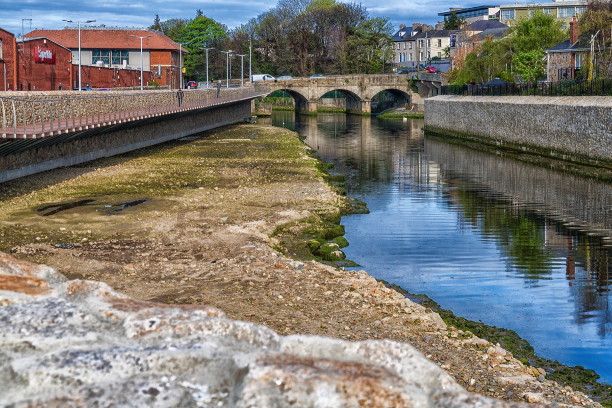 A WALK ALONG THE RIVER DARGLE IN BRAY 012