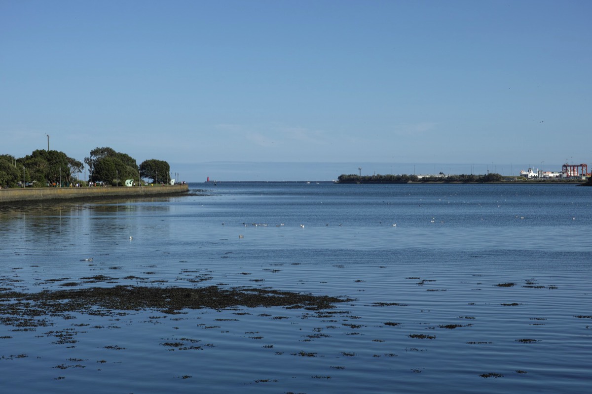 A WALK ALONG THE PROMENADE - CLONTARF 006