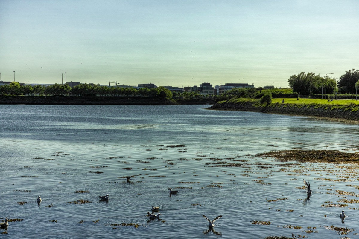 A WALK ALONG THE PROMENADE - CLONTARF 008