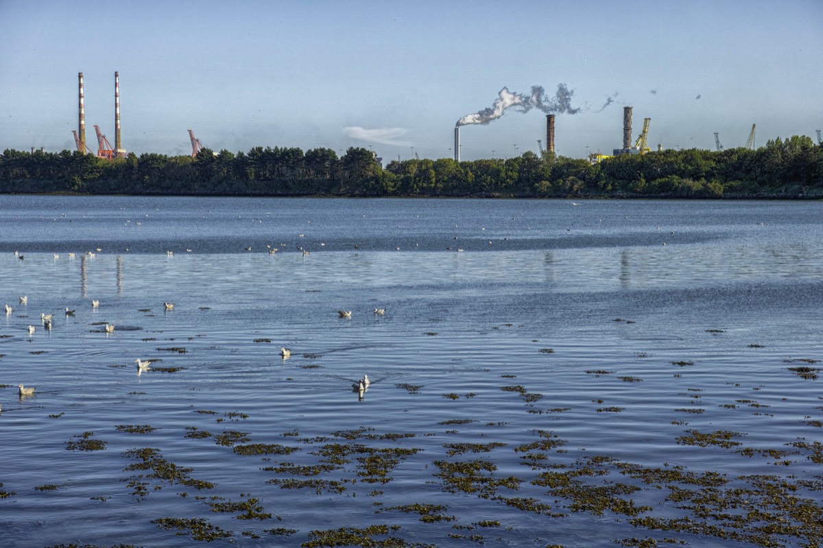 A WALK ALONG THE PROMENADE - CLONTARF 009