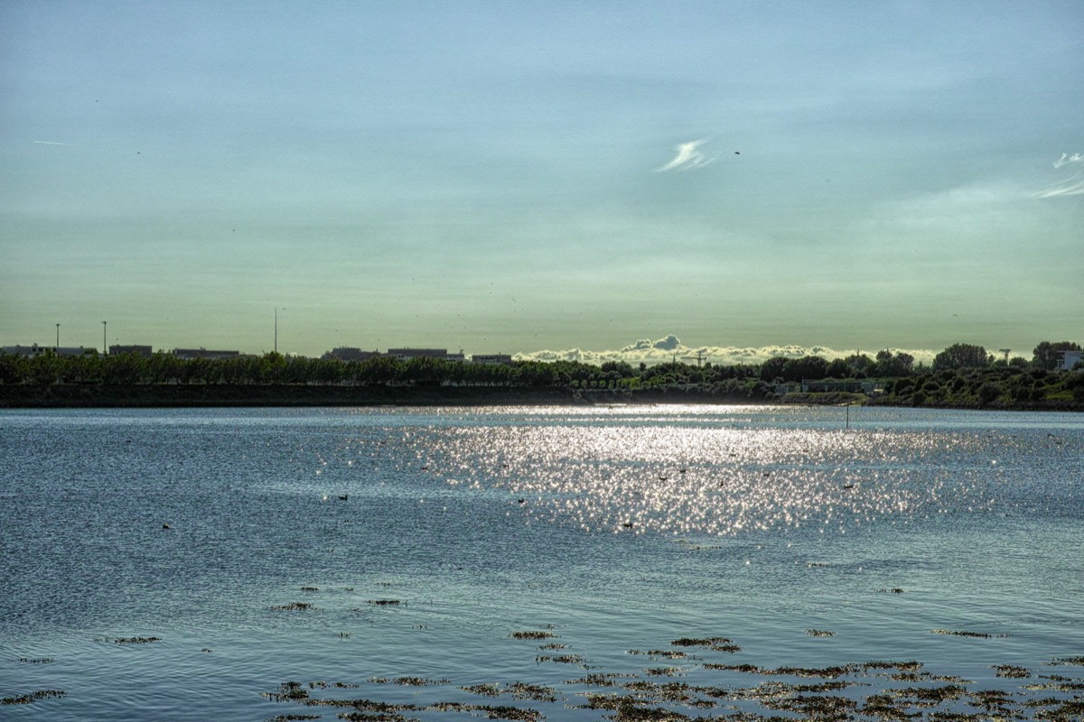 A WALK ALONG THE PROMENADE - CLONTARF 024