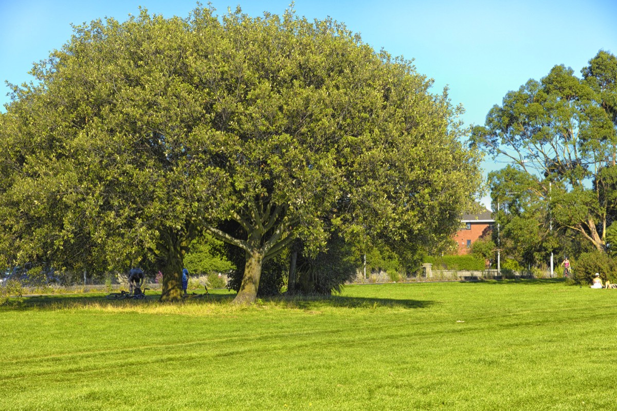 A WALK ALONG THE PROMENADE - CLONTARF 028