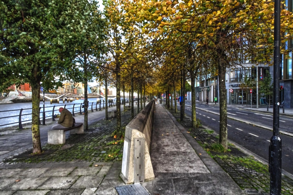 AUTUMN LEAVES ON CITY QUAY 001