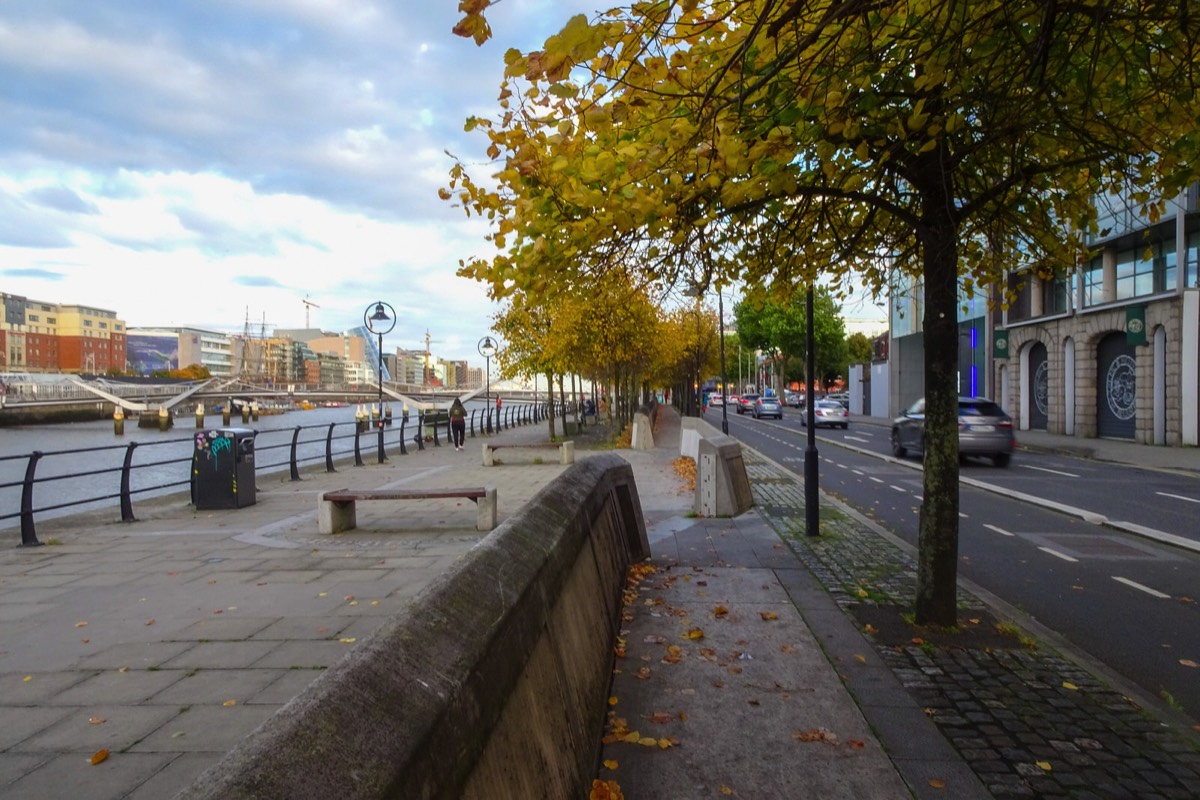 AUTUMN LEAVES ON CITY QUAY 002