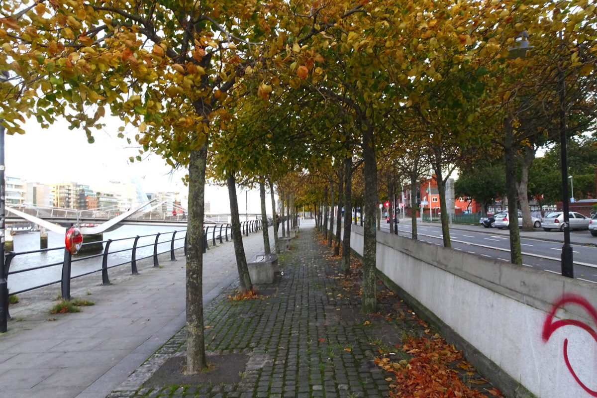 AUTUMN LEAVES ON CITY QUAY 004