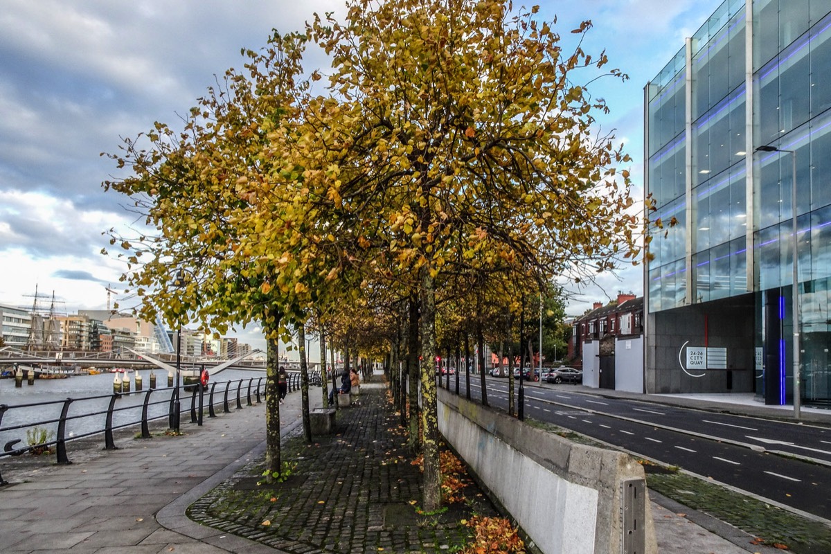 AUTUMN LEAVES ON CITY QUAY 007