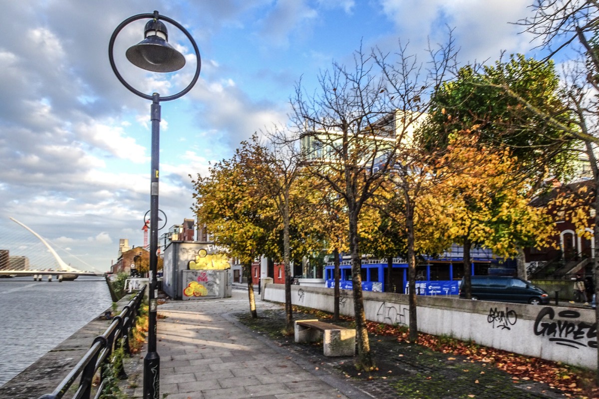 AUTUMN LEAVES ON CITY QUAY 010