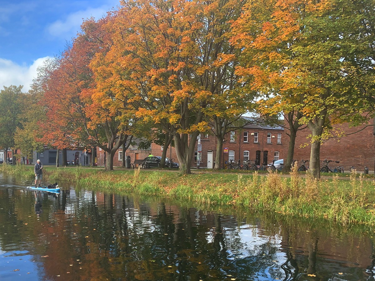 A WALK ALONG GROVE ROAD ON THE SOUTH BANK OF THE GRAND CANAL  002