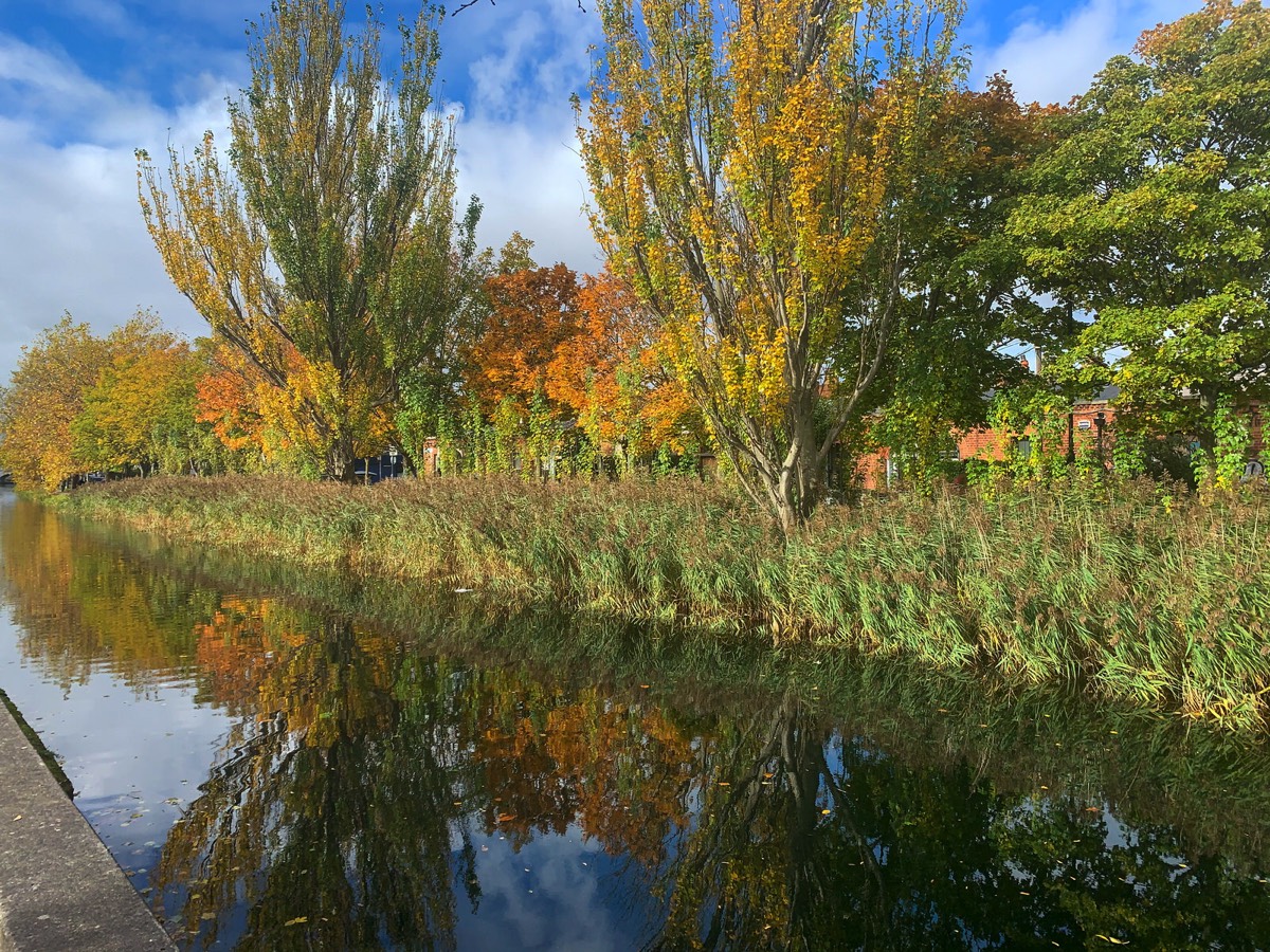 A WALK ALONG GROVE ROAD ON THE SOUTH BANK OF THE GRAND CANAL  004