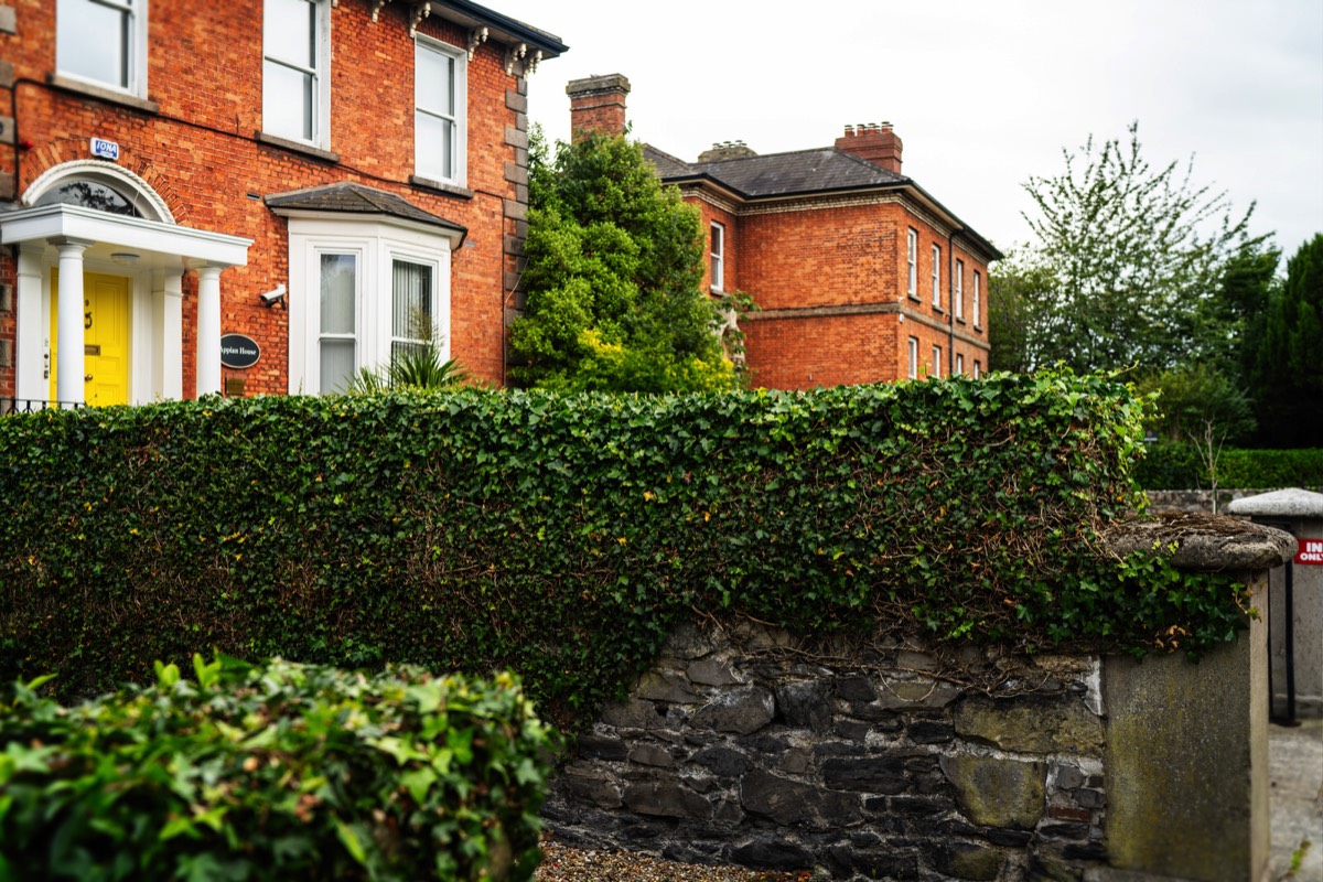 RANELAGH AND NEARBY - I WALKED FROM LEESON STREET TO THE LUAS TRAM STOP  004